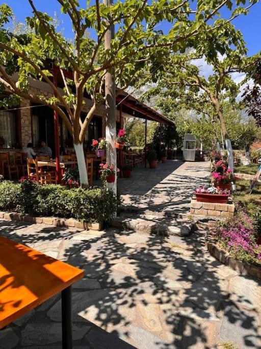 Family Woodland Oasis Vipgreece Lejlighed Kírinthos Eksteriør billede