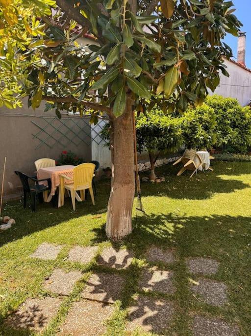 Family Woodland Oasis Vipgreece Lejlighed Kírinthos Eksteriør billede