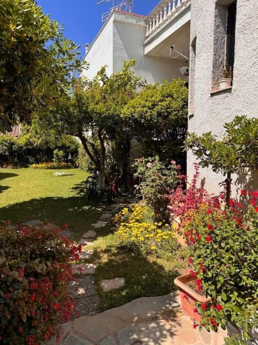 Family Woodland Oasis Vipgreece Lejlighed Kírinthos Eksteriør billede